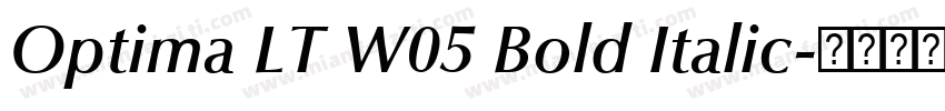 Optima LT W05 Bold Italic字体转换